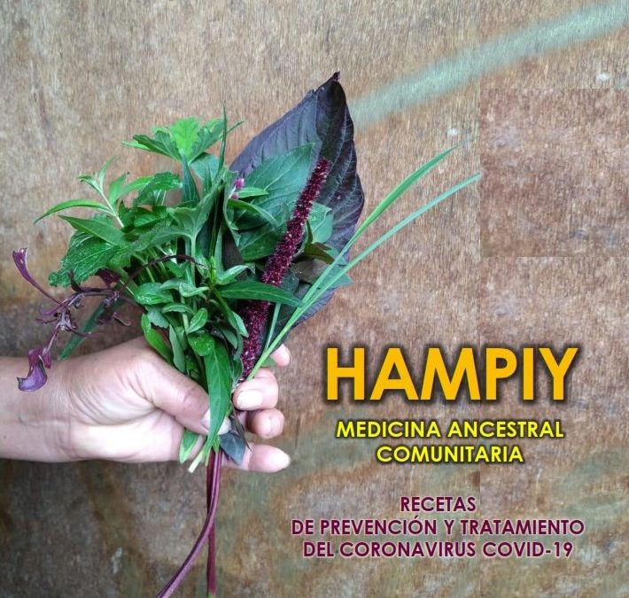 Recetario HAMPIY Medicina Ancestral Comunitaria: Recetas de prevención y  tratamiento del Coronavirus Covid-19. – Ciudad